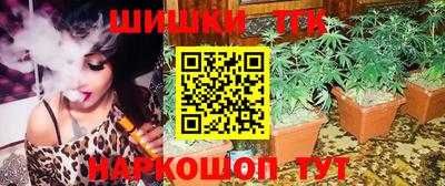 дмт Гатчина
